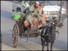 Jeep and a horse