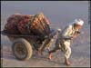 Grandpa with fruits