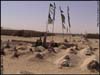 Al Qaida cemetery