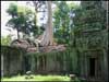 Ангкор 4
