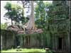 Angkor 4