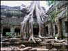 Ангкор 5