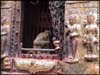 Monkey in a temple