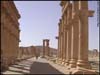 Roman columns in Palmyra